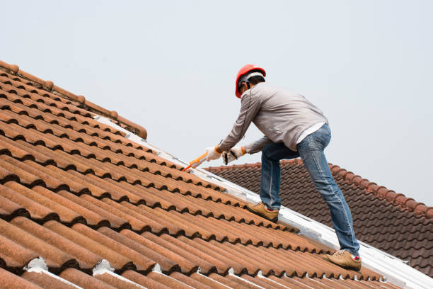 Best Storm Damage Roof Repair  in Jacksboro, TN